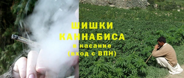 spice Новозыбков