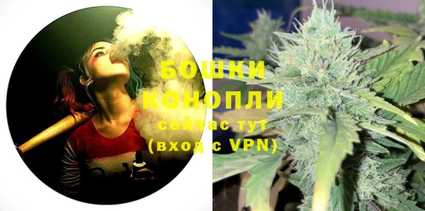 гашик Новокубанск
