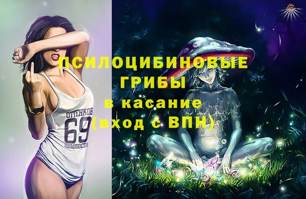 PSILOCYBIN Нея