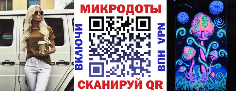 Галлюциногенные грибы прущие грибы  Купить  Кирсанов